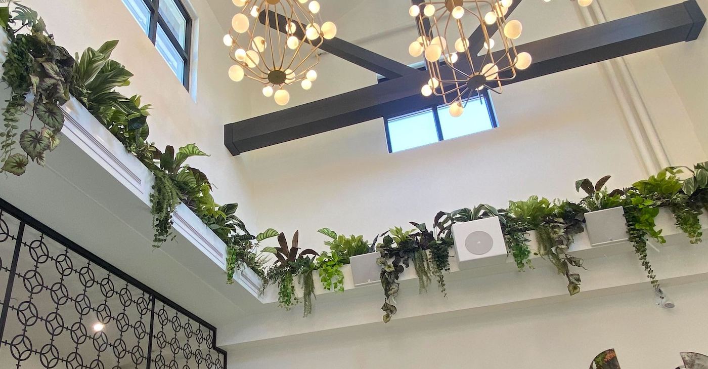 Artificial mixed greenery trailing from overhead planters at Mekong Whistler, designed by Greenscape Design
