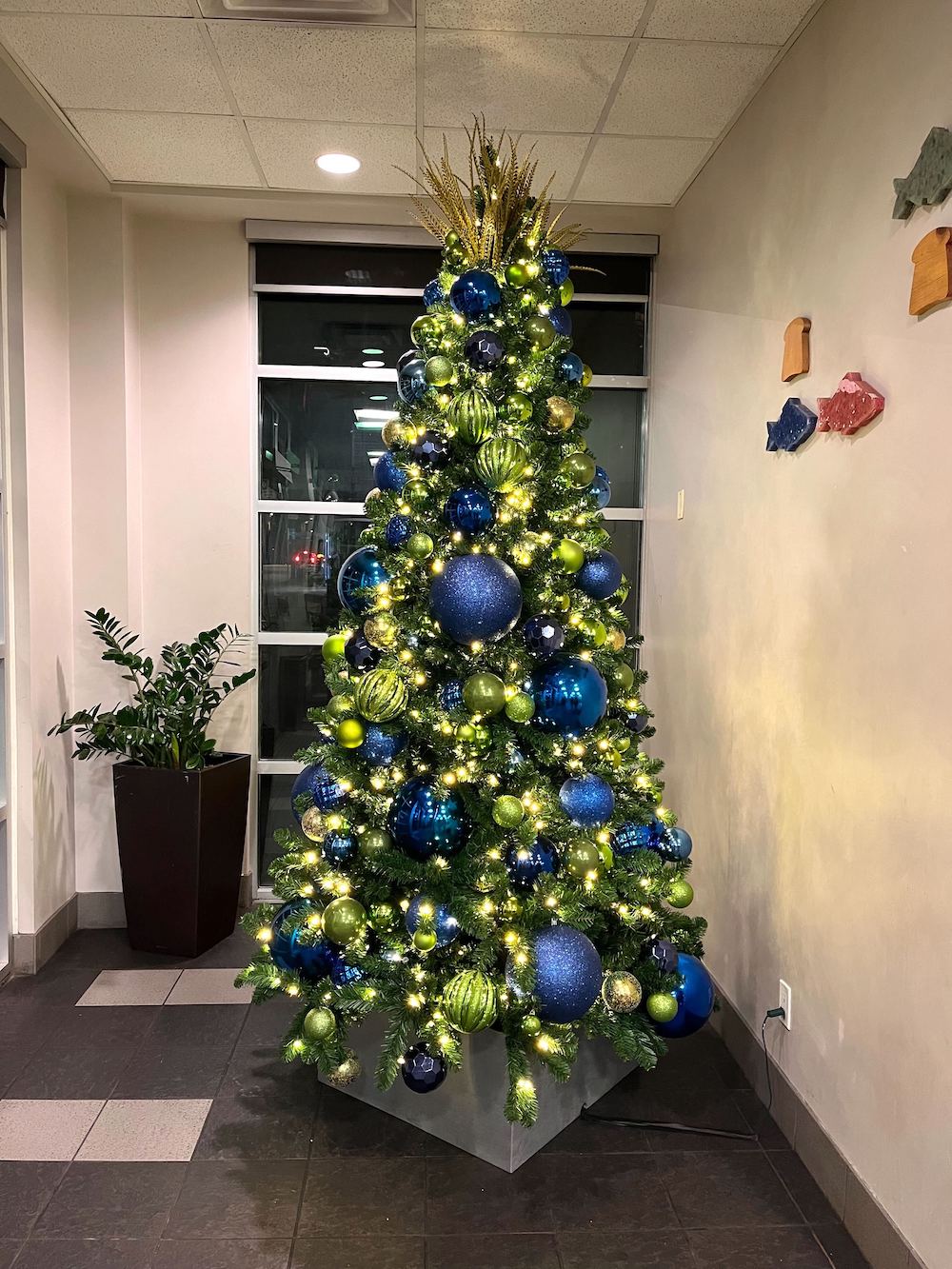 Greenscape Design Navy and Lime Green Christmas Tree Vancouver