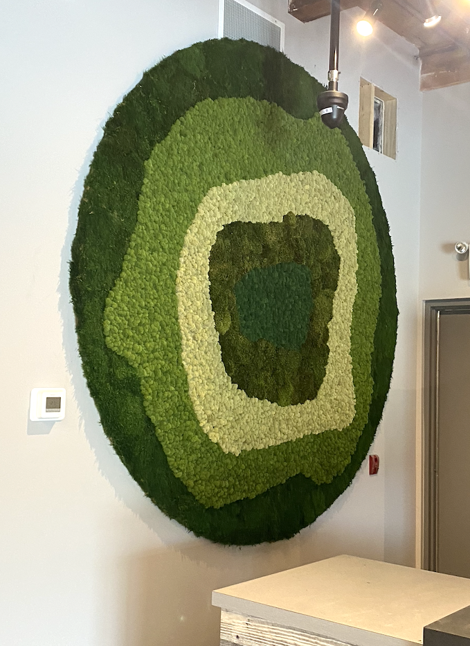 Preserved reindeer moss art wall by Greenscape Design in a commercial space.