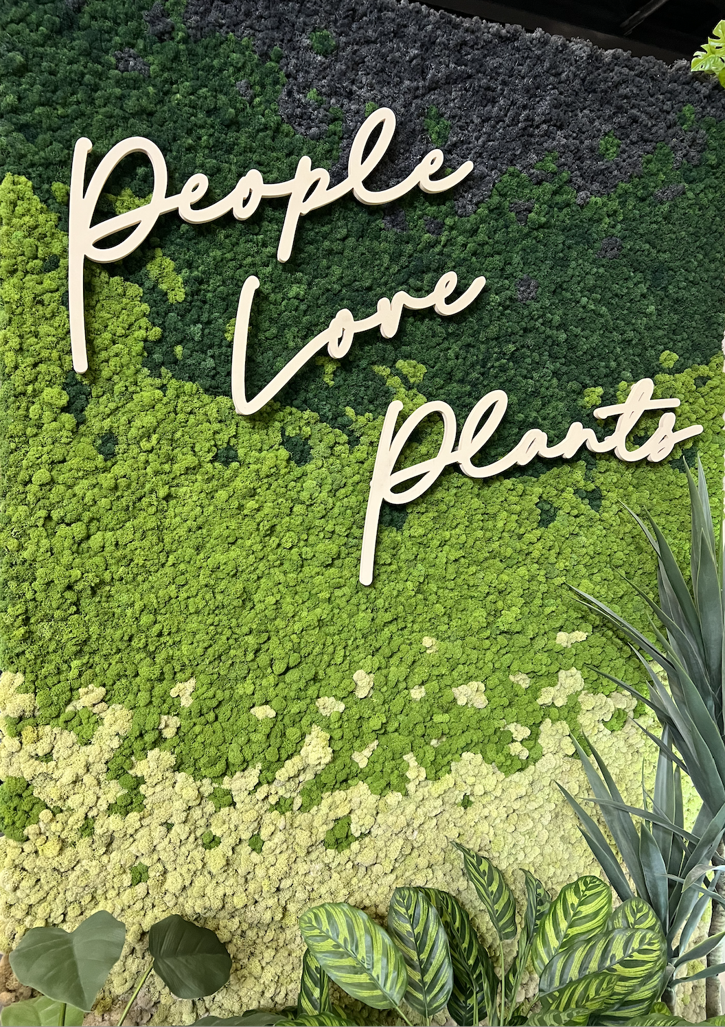 Custom design by Greenscape Design featuring preserved reindeer moss with signage in Vancouver.