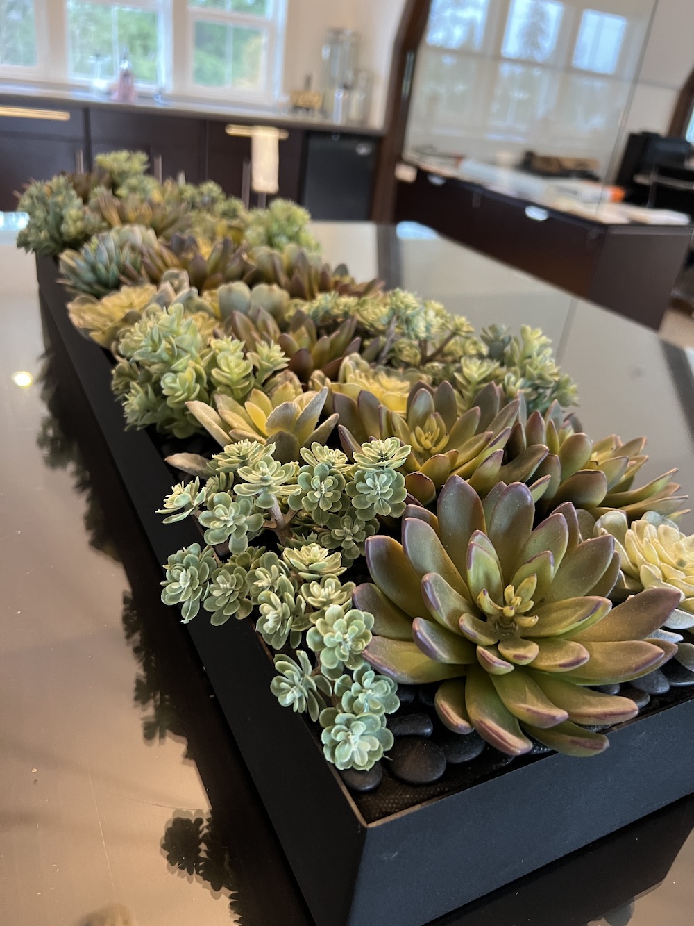 Artificial succulents in a black planters on a kitchen table