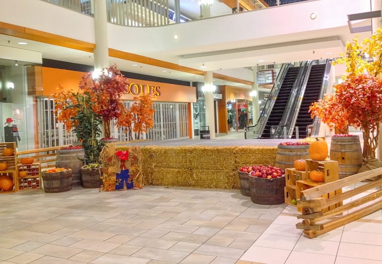 autumn holiday decor in a mall for thanksgiving