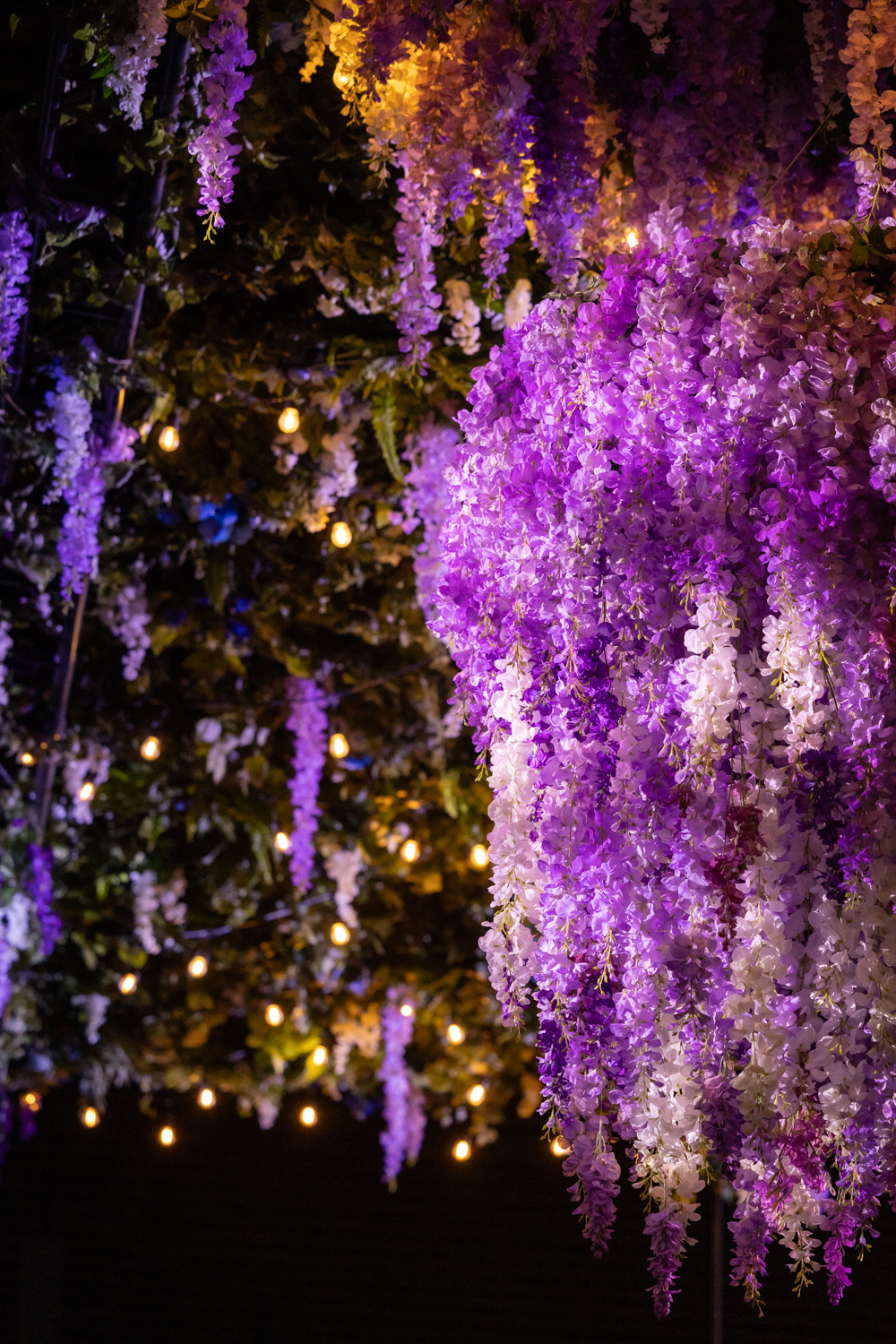 Medallion Gala 2024 floral ceiling with purple and white wisteria by Greenscape Design.