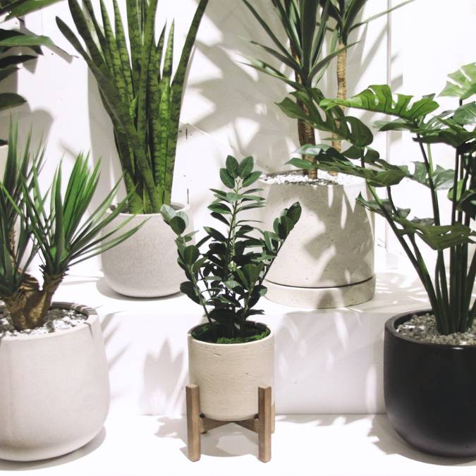 Planters & Containers