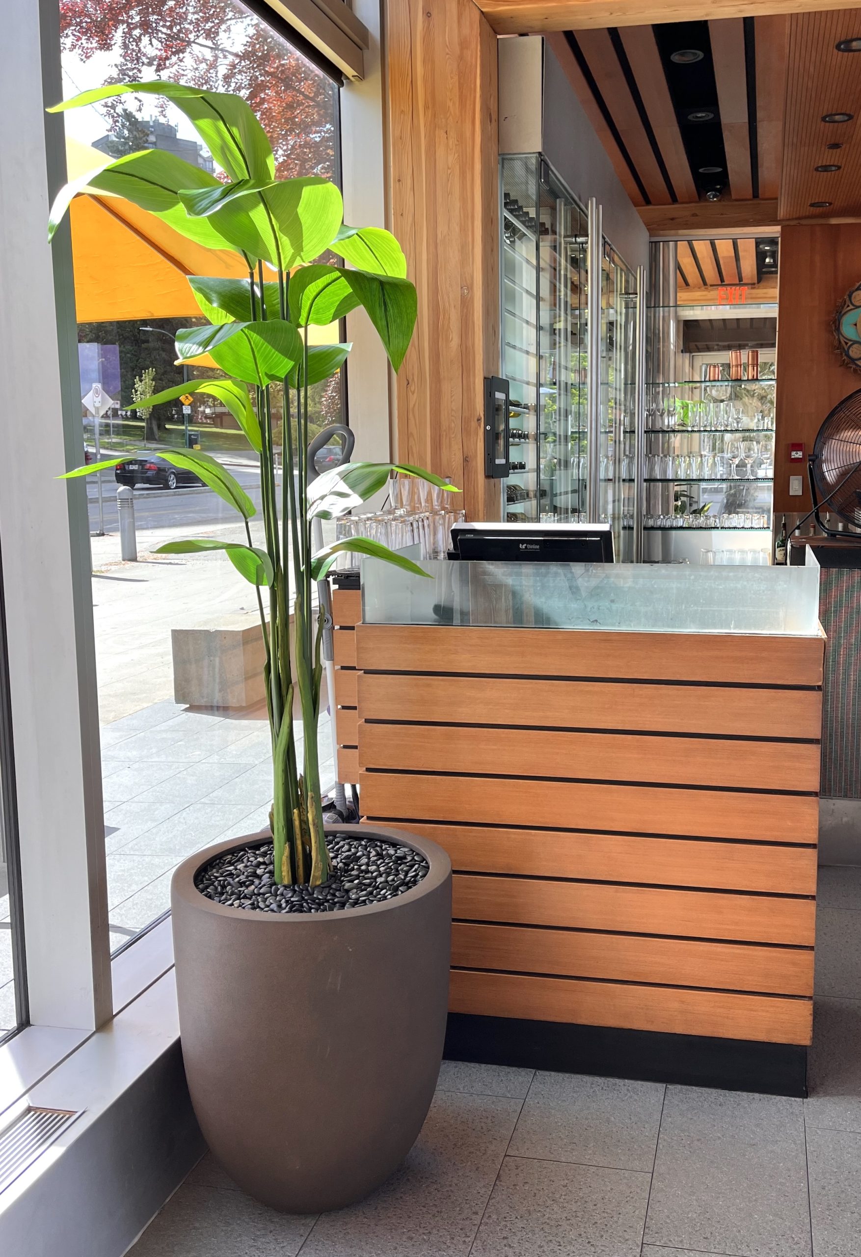 Artificial beauty palm tree in a modern brown planter with black stones, placed near a restaurant counter with wood paneling.