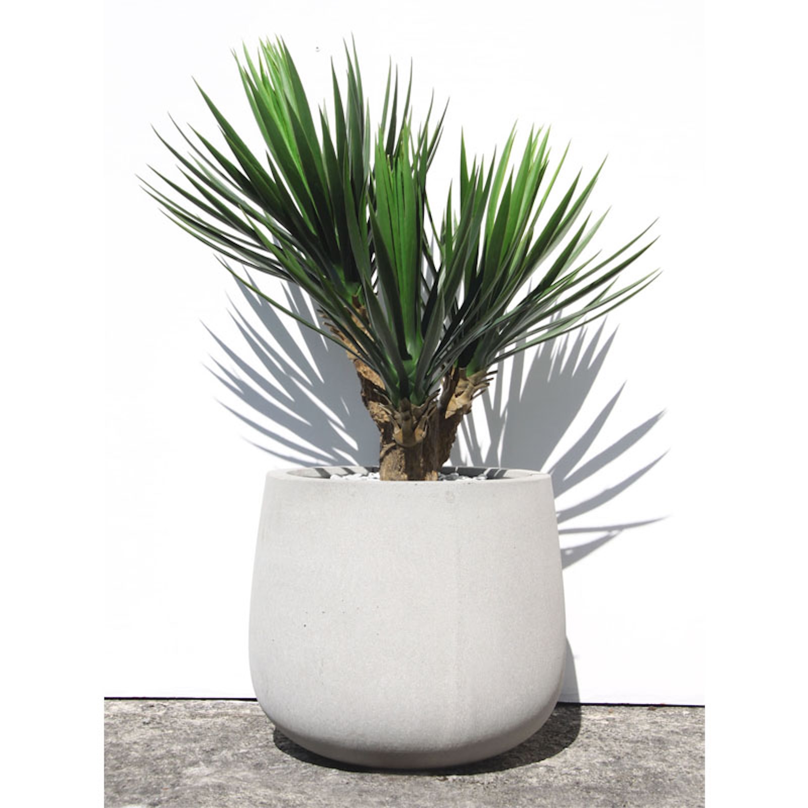 Artificial yucca plant in a modern concrete planter. Features spiky green leaves and a realistic trunk, adding a bold, low-maintenance accent to exterior spaces.