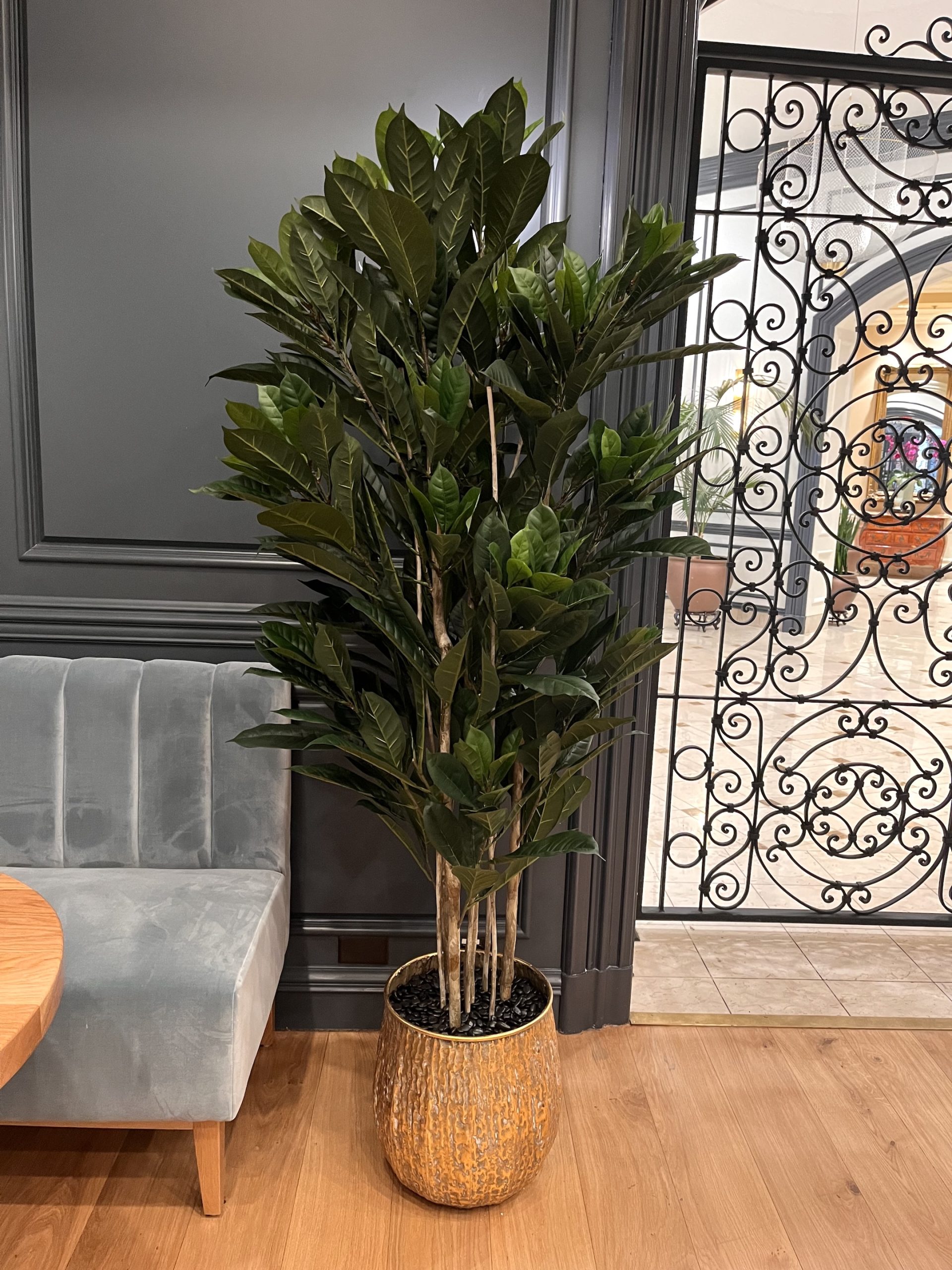 Artificial Ficus Fig tree in a textured gold planter, placed in a hotel lounge with elegant furnishings.