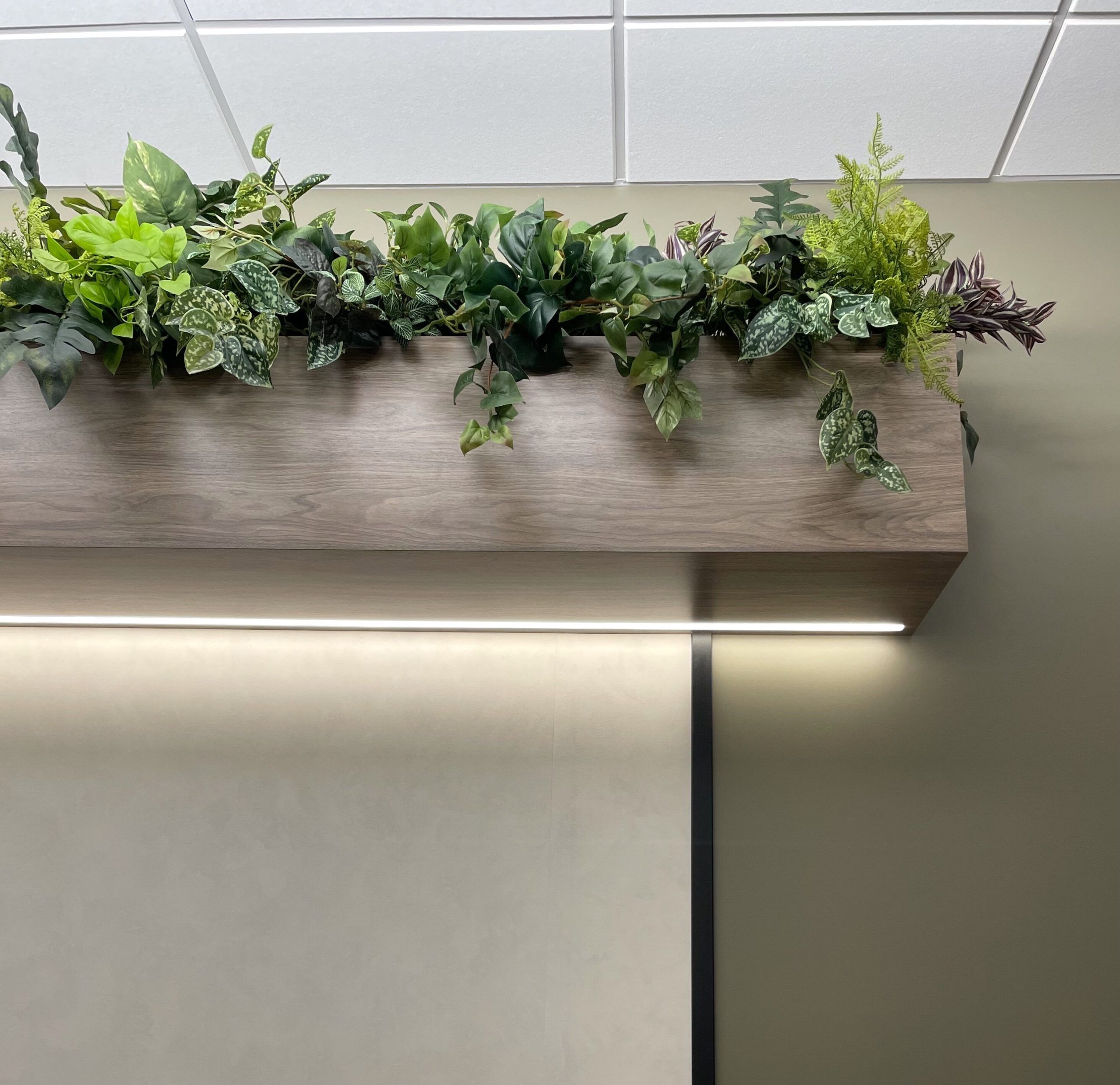 Artificial mixed greenery installed on a wooden ledge in an office space. Features a blend of faux ivy, ferns, and leafy plants for a fresh biophilic touch.