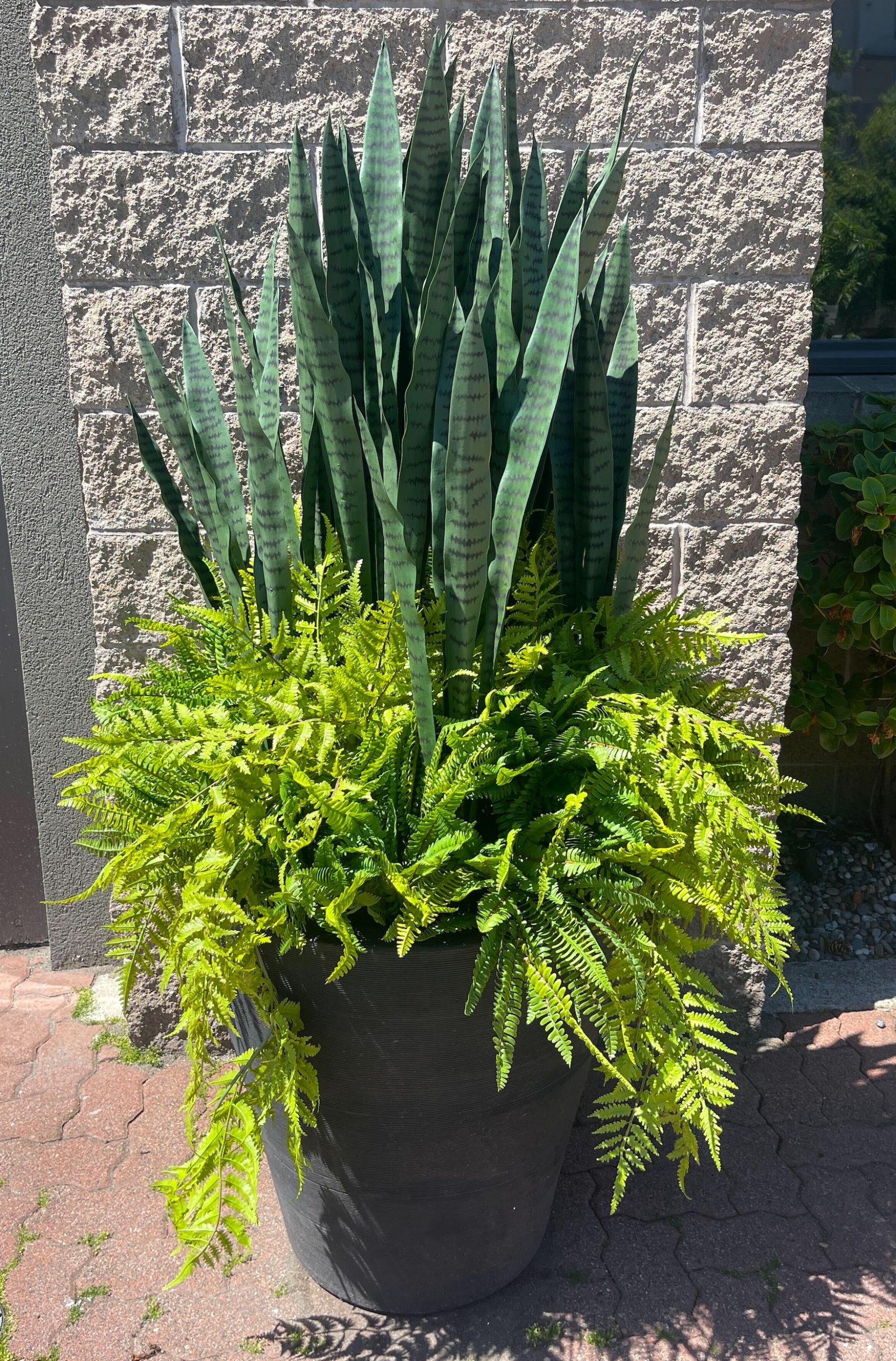 Exterior Faux Sansevieria and ferns arranged in a large UV-resistant outdoor planter against a textured stone wall.