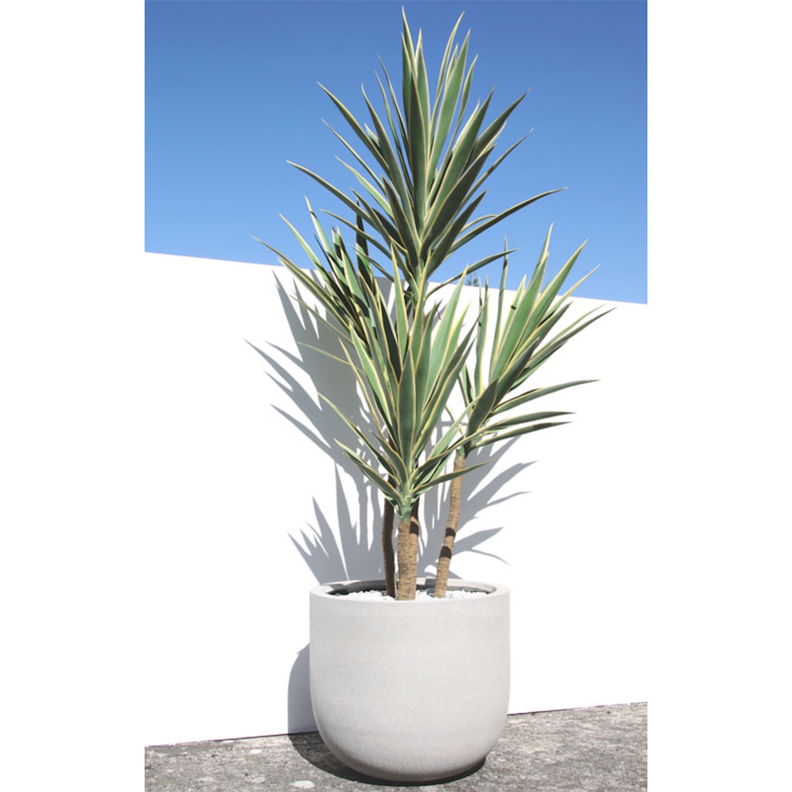 Artificial variegated yucca plant in a modern concrete planter. Features striking yellow and green spiky leaves, adding a bold, maintenance-free accent to exterior spaces.