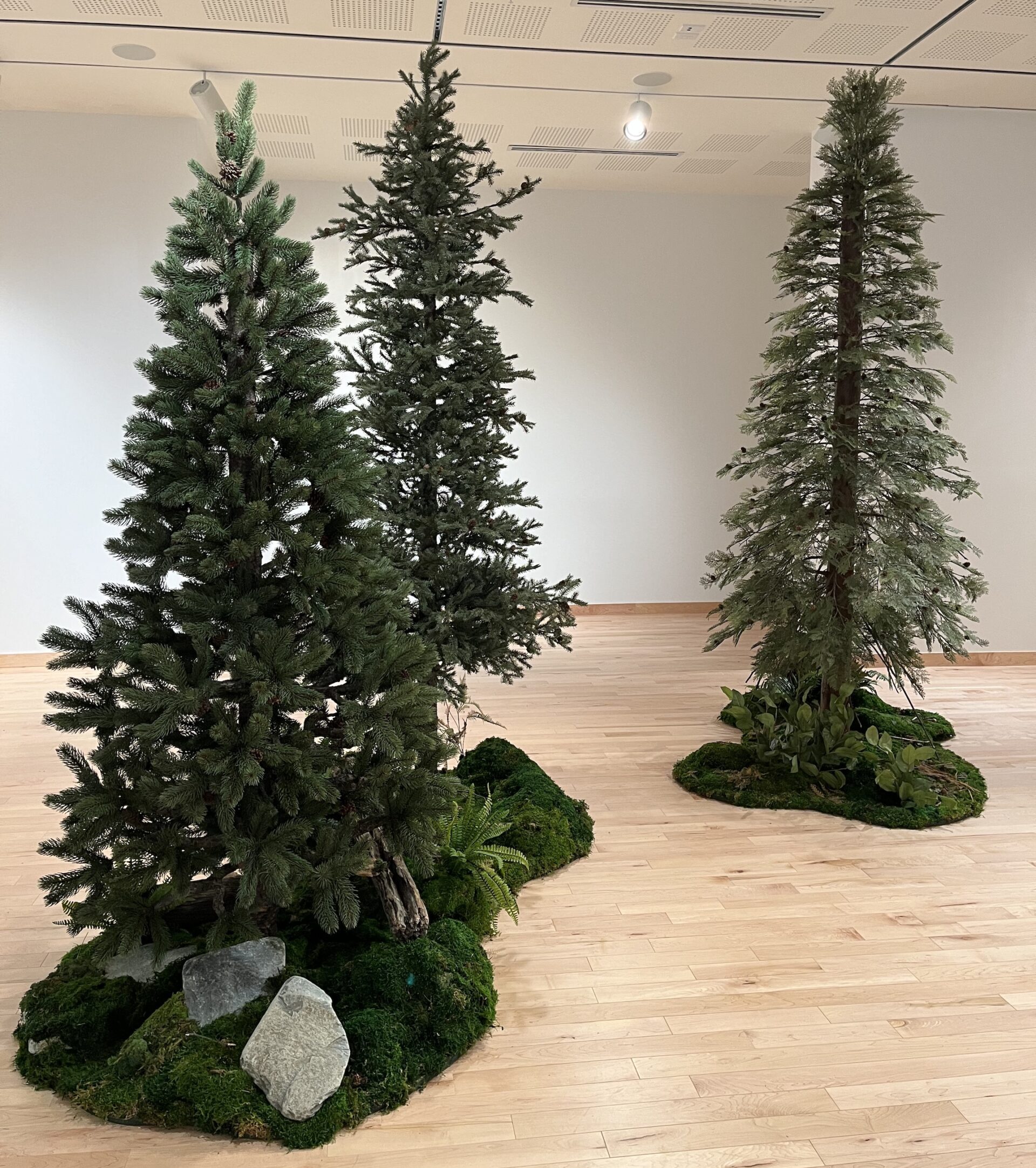 Custom artificial evergreen trees with realistic foliage and moss-covered bases, designed for a museum display in Vancouver.