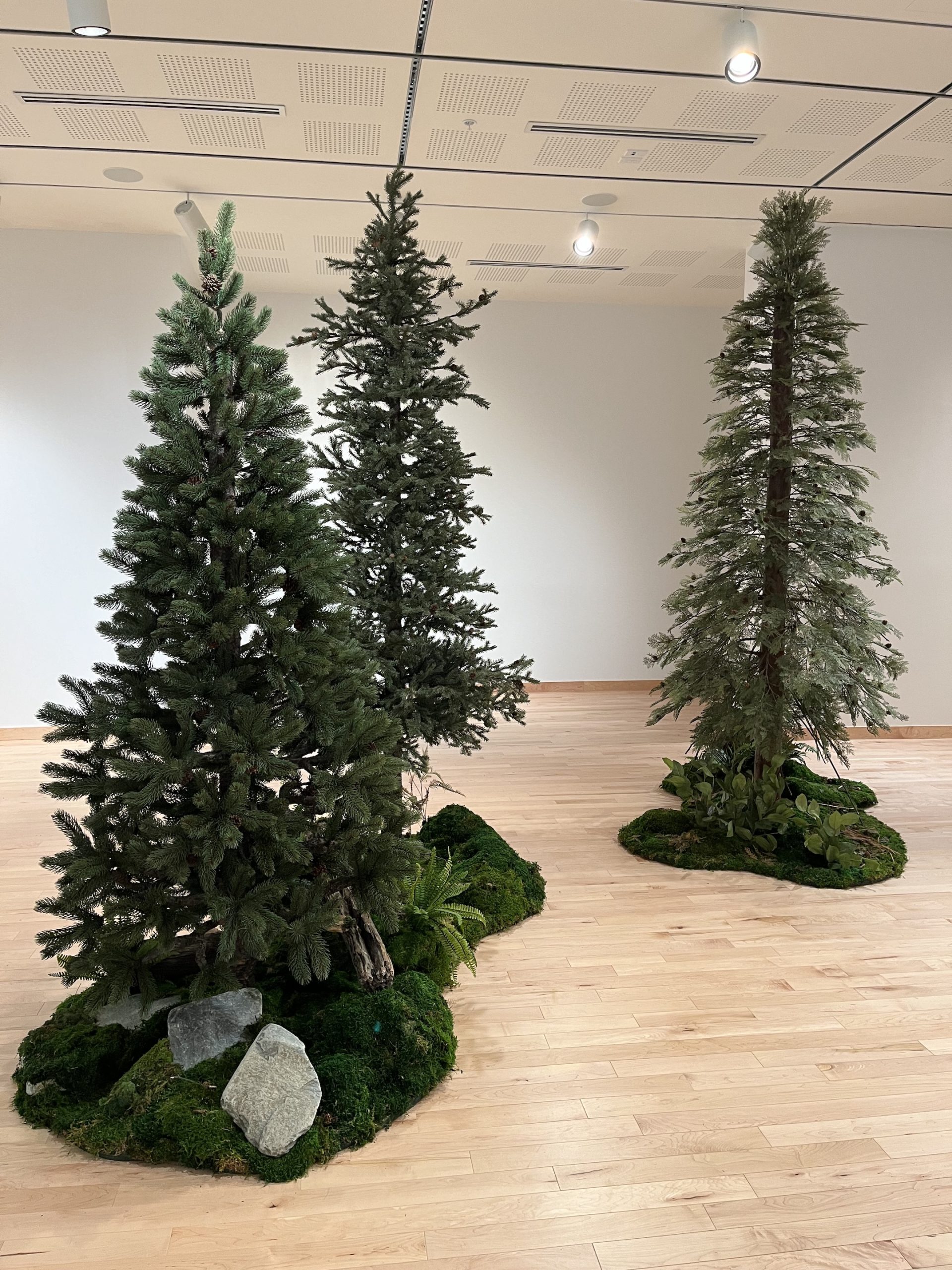 Custom artificial evergreen trees with realistic foliage and moss-covered bases, designed for a museum display in Vancouver.