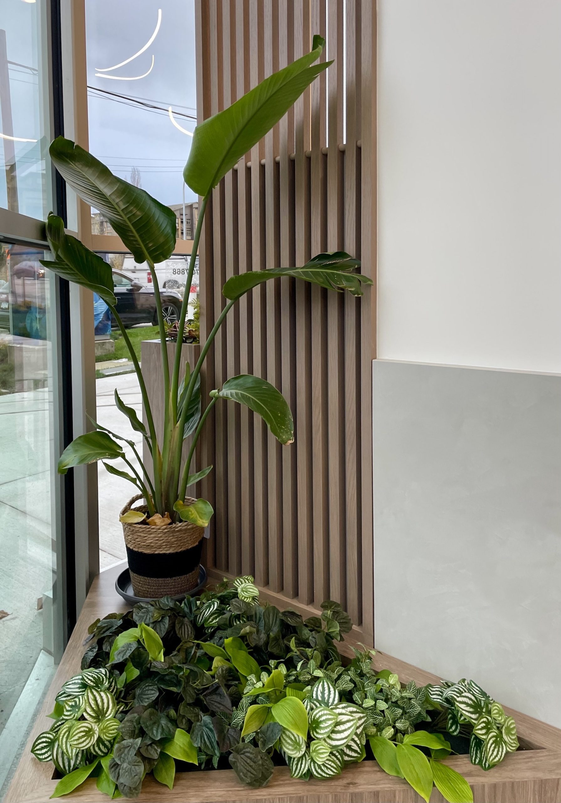 Artificial greenery display featuring a faux bird of paradise in a woven basket and lush replica foliage, creating a vibrant biophilic design near a window.