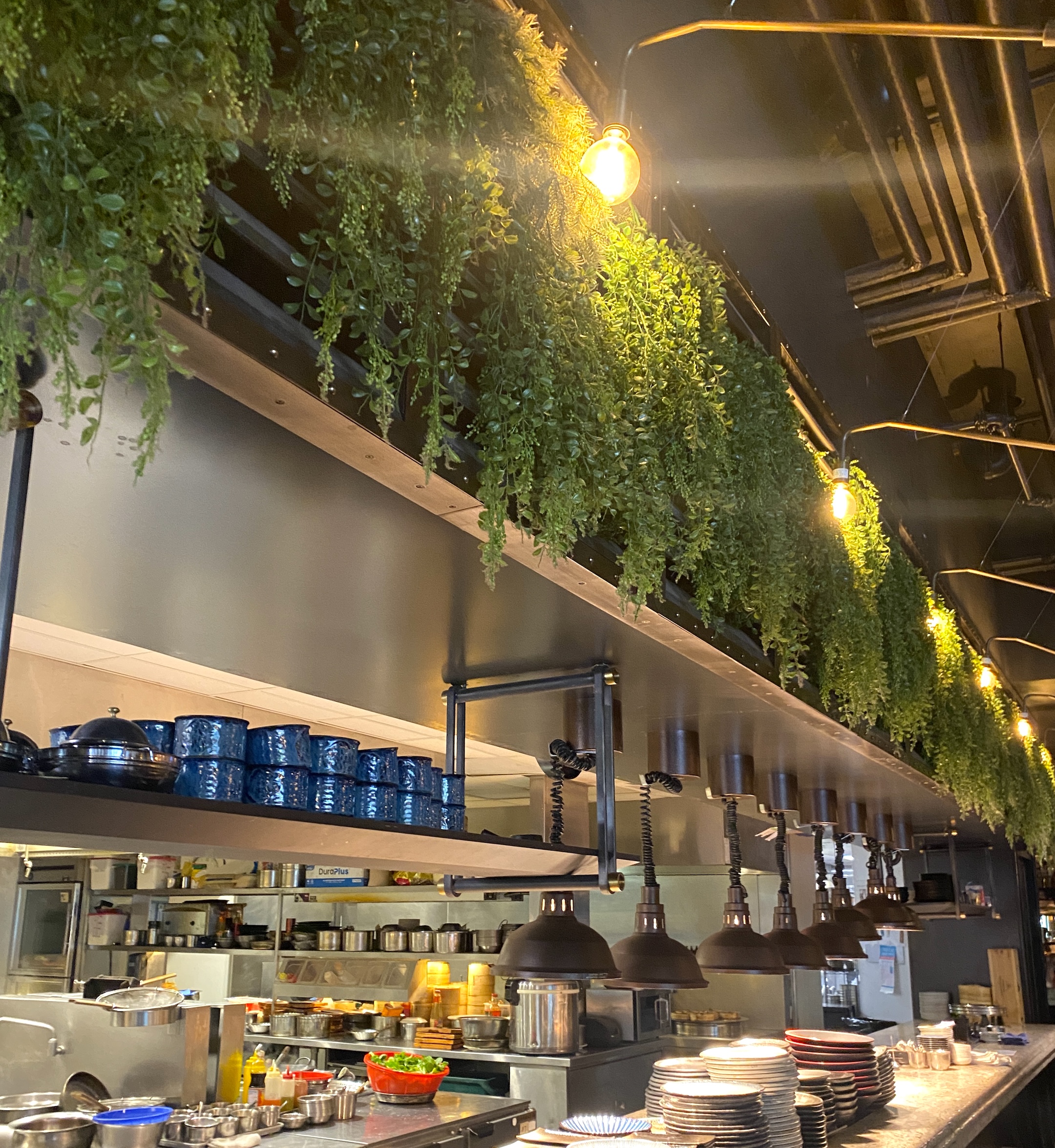 Faux trailing greenery cascading from a high shelf in a restaurant kitchen. Creates a lush, inviting ambiance with warm lighting and industrial design elements.