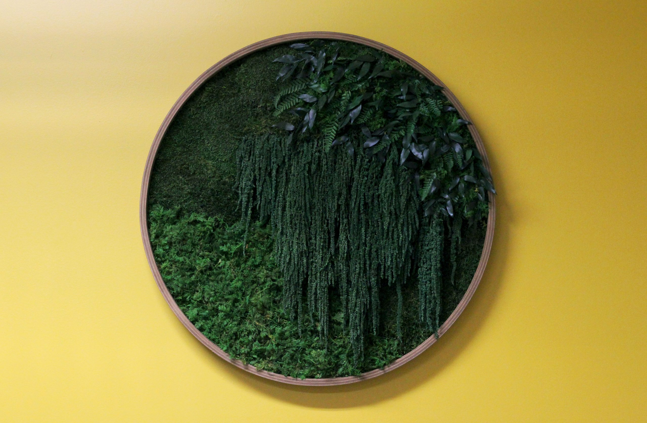 Circular preserved moss wall art with cascading preserved amaranthus and lush greenery. A biophilic design element adding texture and depth to interior spaces.