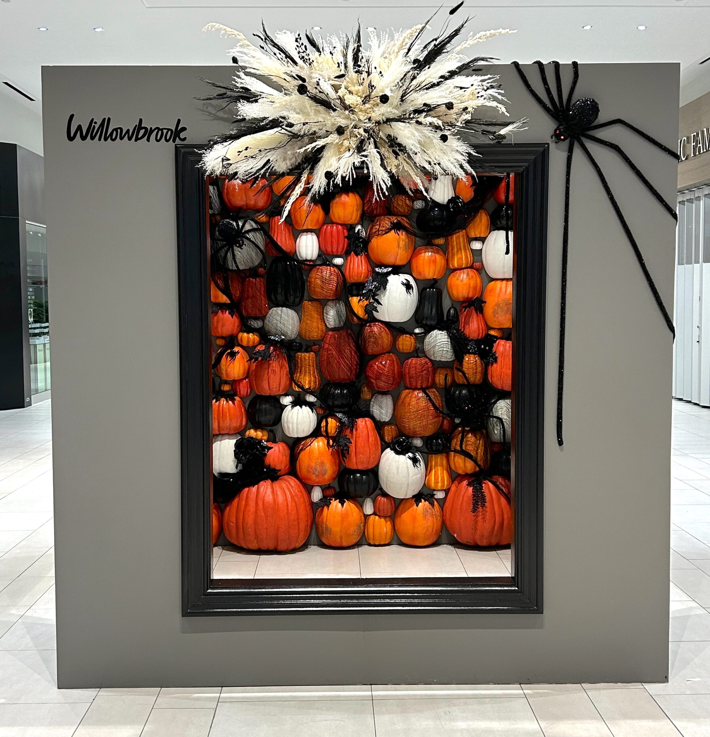 Custom Halloween photo op display at Willowbrook featuring a framed wall of pumpkins, black spiders, and dramatic pampas floral.