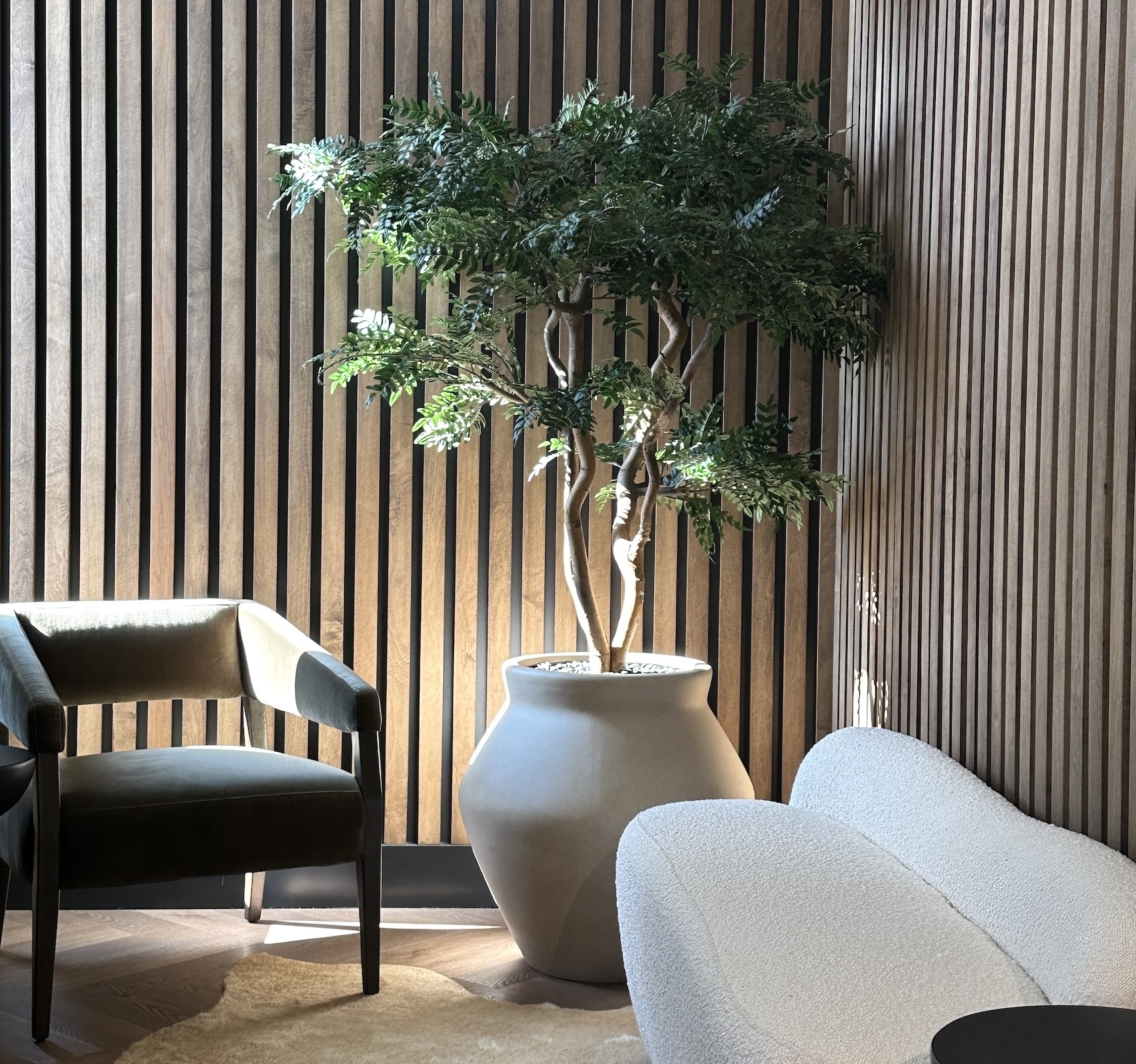 Faux Acacia Tree in an office lobby next to a white couch and grey chair.