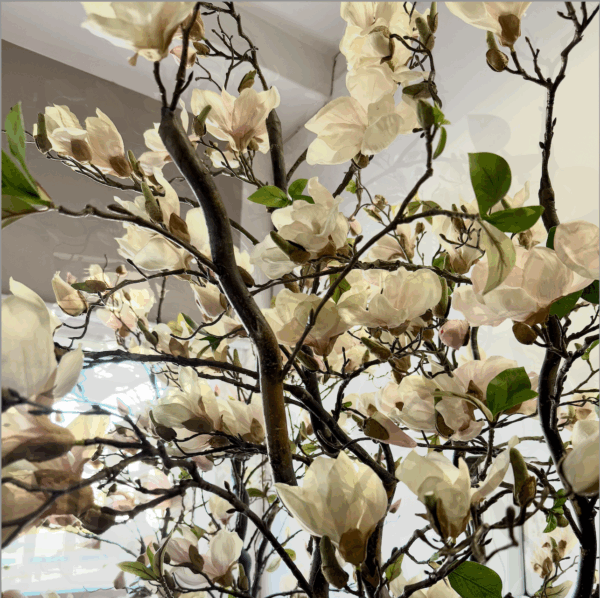 Faux Magnolia foliage