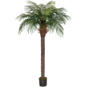 Artificial date palm tree rental Vancouver featuring a textured trunk and lush faux fronds in a black nursery pot.