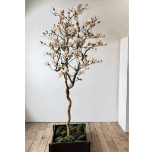 Artificial magnolia tree rental Vancouver featuring soft pink and ivory blossoms on a sculptural trunk in a black planter with moss.