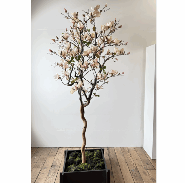 Artificial magnolia tree rental Vancouver featuring soft pink and ivory blossoms on a sculptural trunk in a black planter with moss.