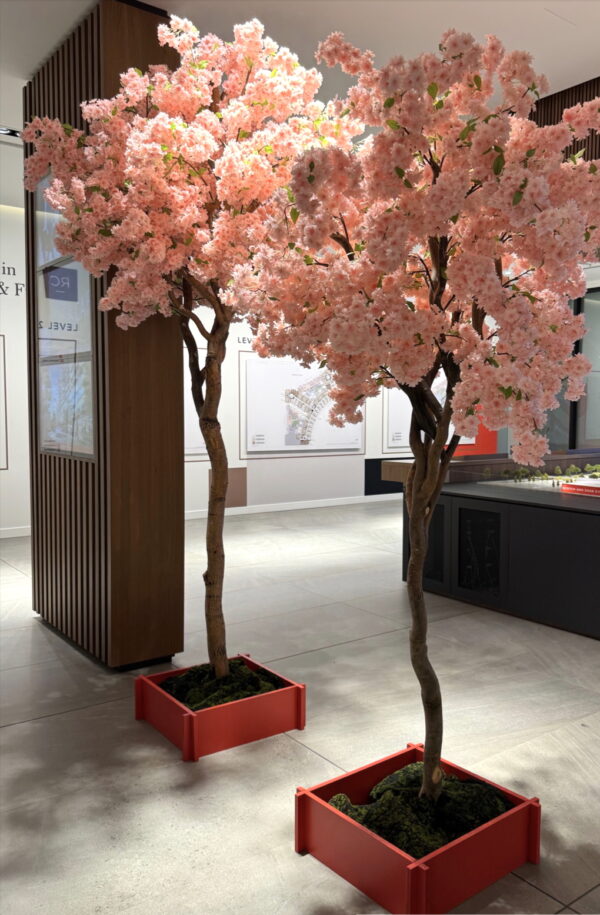 Faux cherry blossom trees with vivid pink blooms, displayed in a glossy red planter with moss base, adding bold colour to a modern office space.