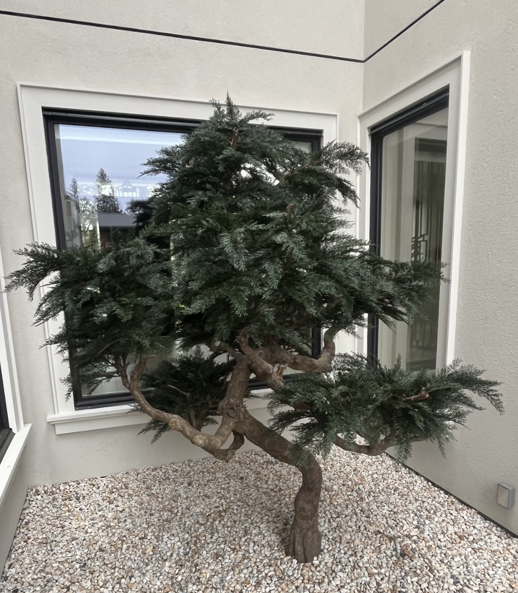 artificial bonsai tree in a semi outdoor area