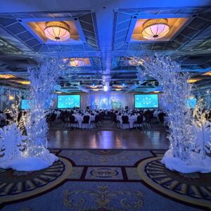 White frosted arch with glowing lights and snow accents set in front of draped curtains for a winter event.