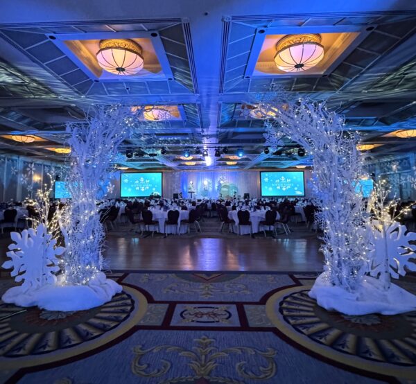 White frosted arch with glowing lights and snow accents set in front of draped curtains for a winter event.