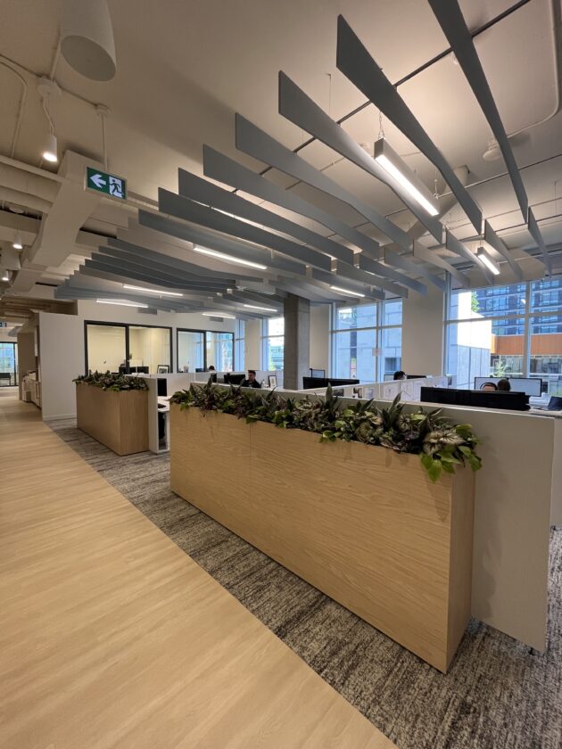office greenery by Greenscape