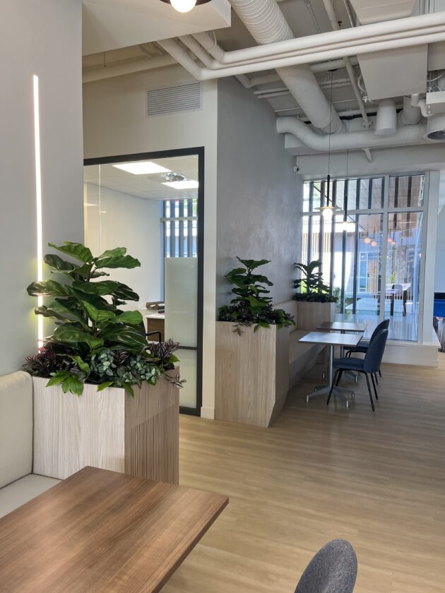 greenery in a workspace