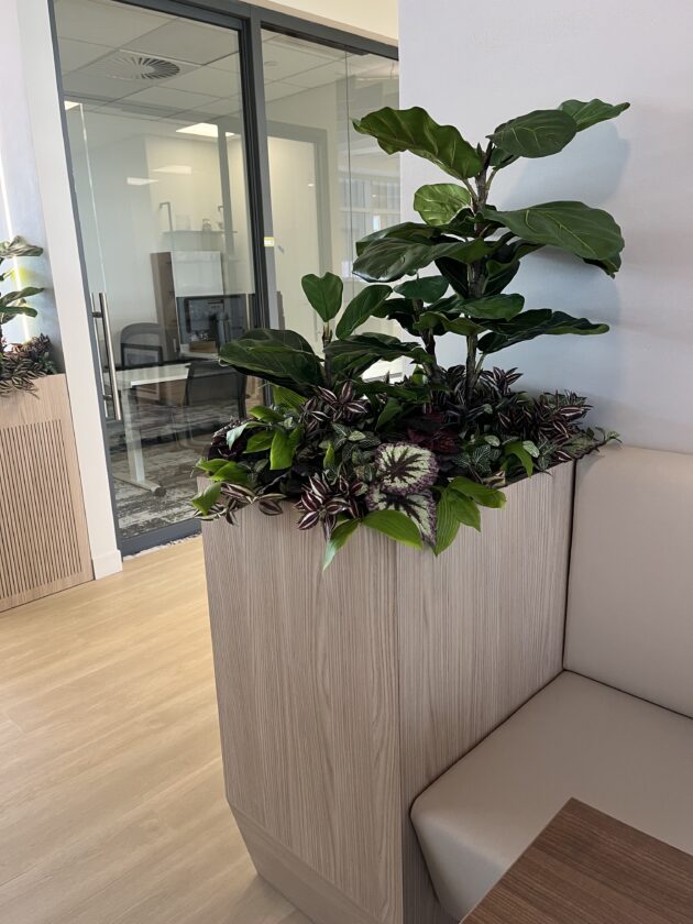 planters for office