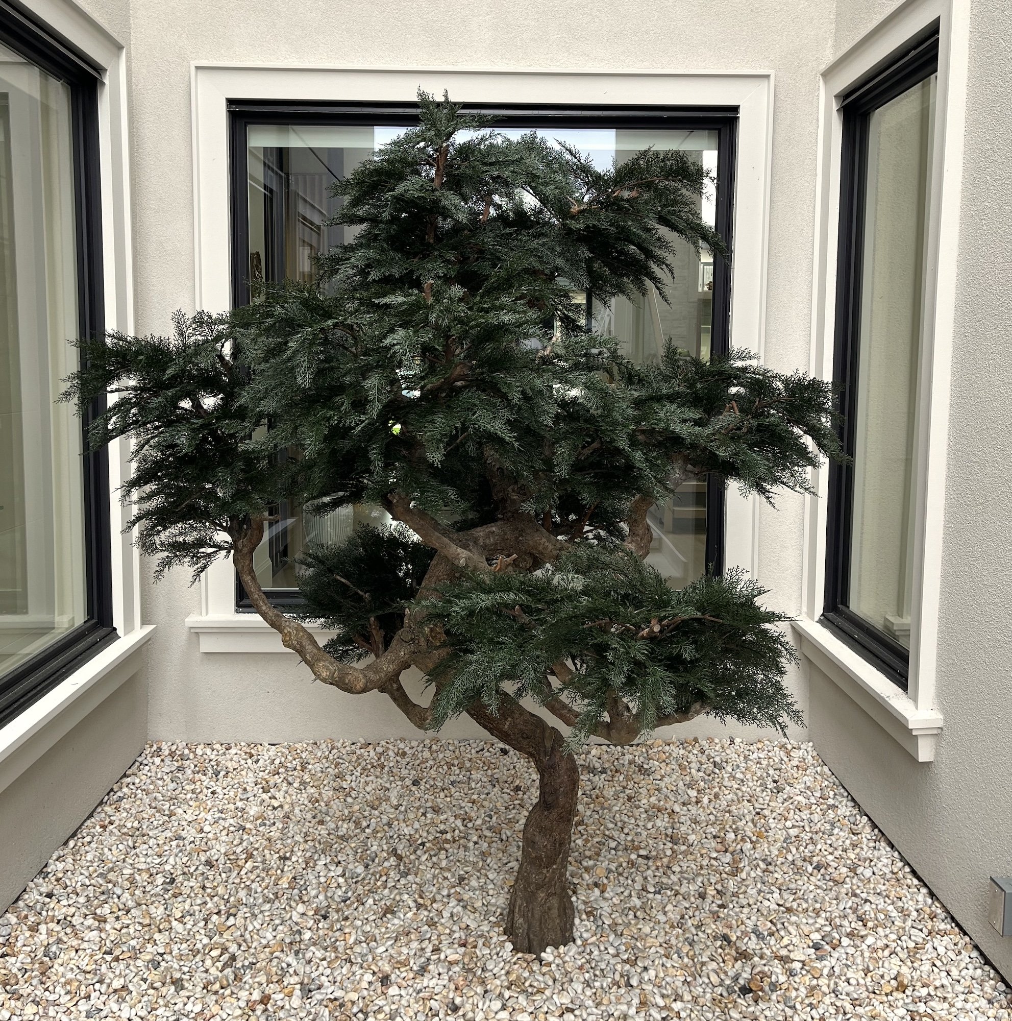 Artificial bonsai tree in outdoor courtyard planter
