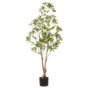 Faux Pieris Japonica tree with realistic green leaves and natural trunk in a black nursery pot for event rentals.