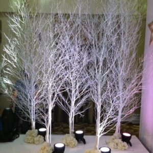 White winter trees with bare branches arranged in an illuminated winter wonderland event display.
