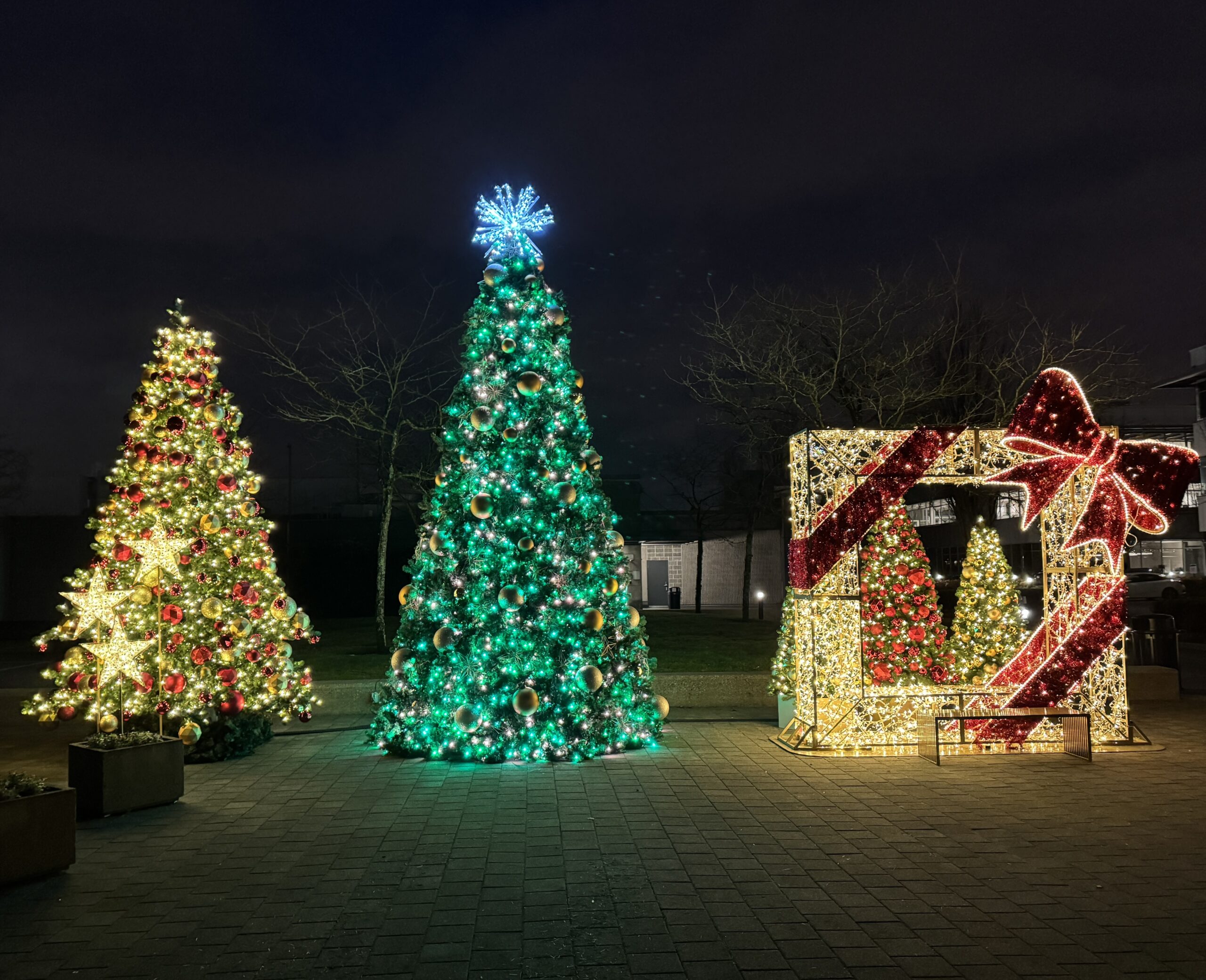 Illuminated outdoor Christmas trees along commercial walkway at night