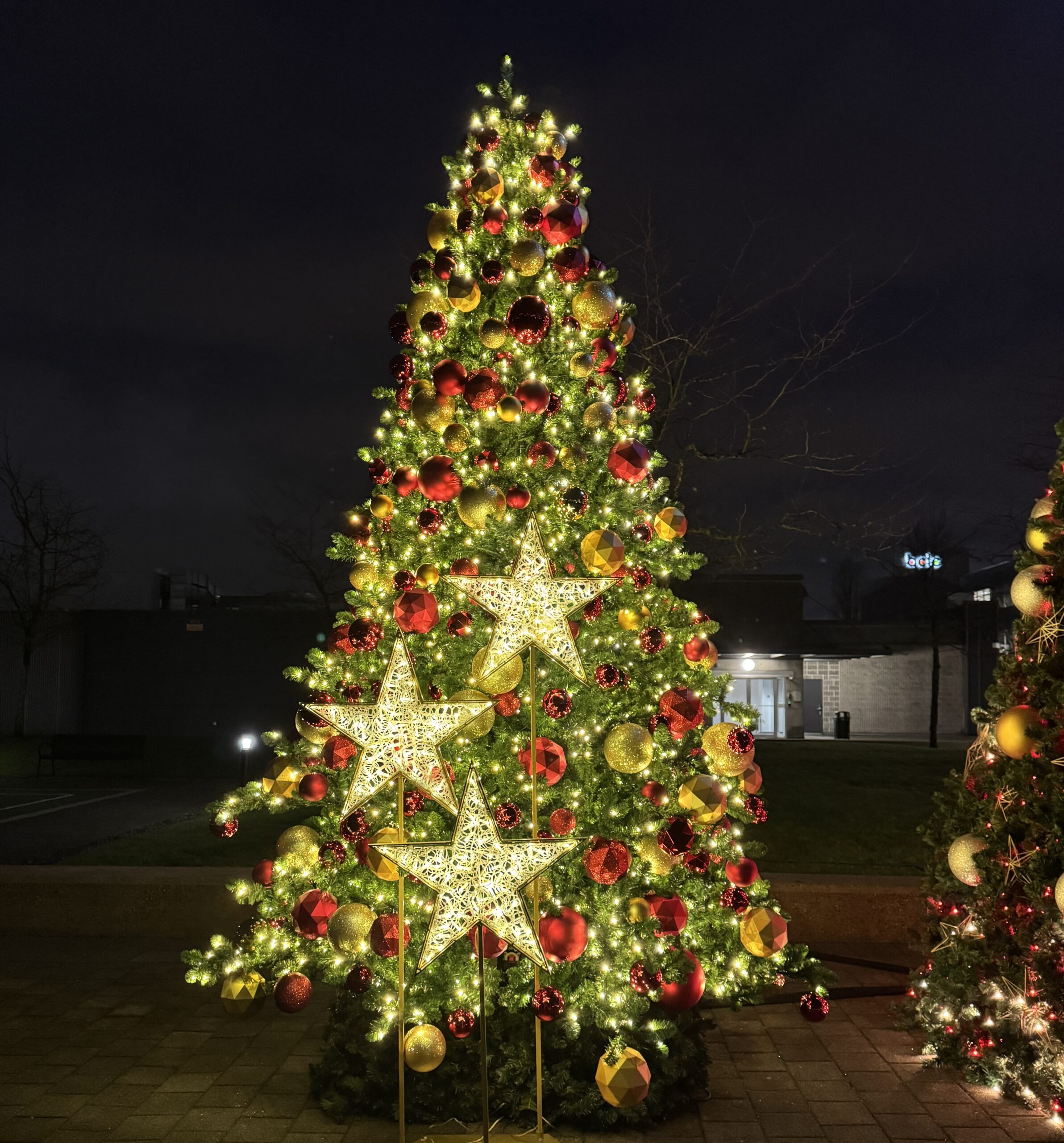 Large outdoor Christmas tree with red and gold decorations and warm white lights