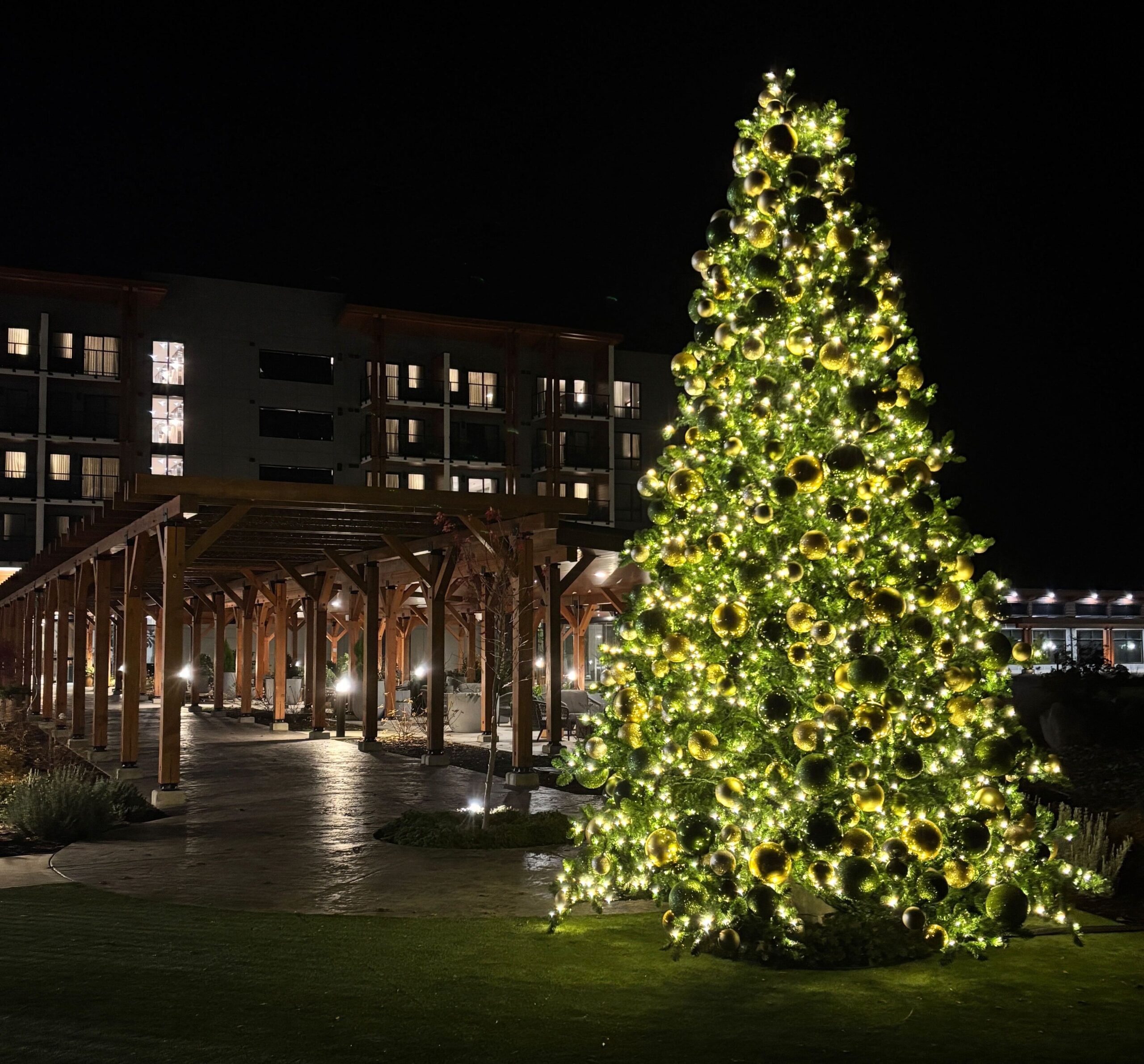 Large illuminated outdoor Christmas tree with gold ornaments in courtyard at night