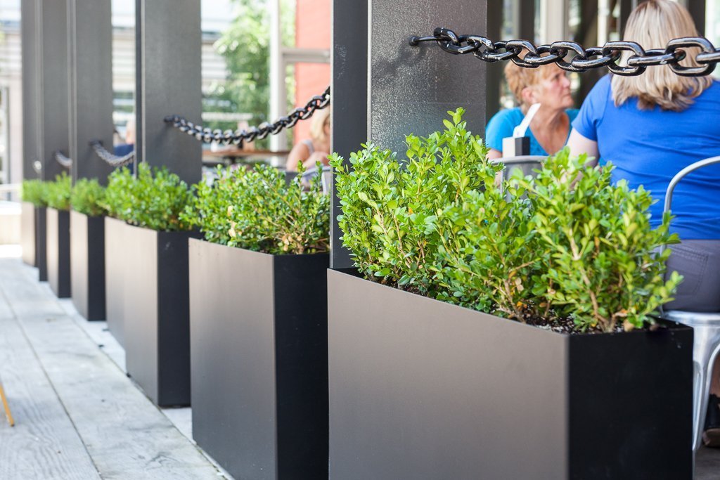 Design Black Steel Rectangular Planters and Boxwood