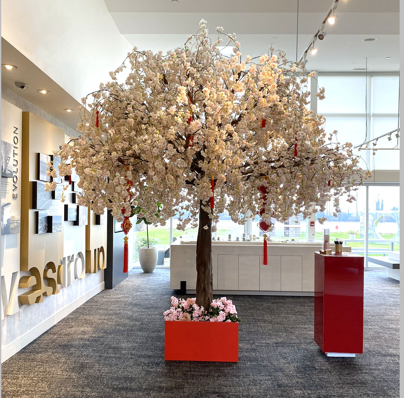Cherry blossom tree decorated with red tassel good fortune ornaments for Lunar New Year display in an office lobby