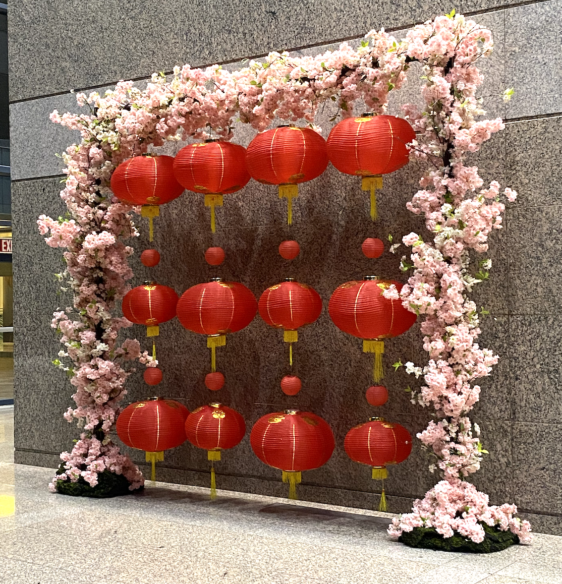 Cherry blossom arch with hanging red lanterns for Lunar New Year photo area