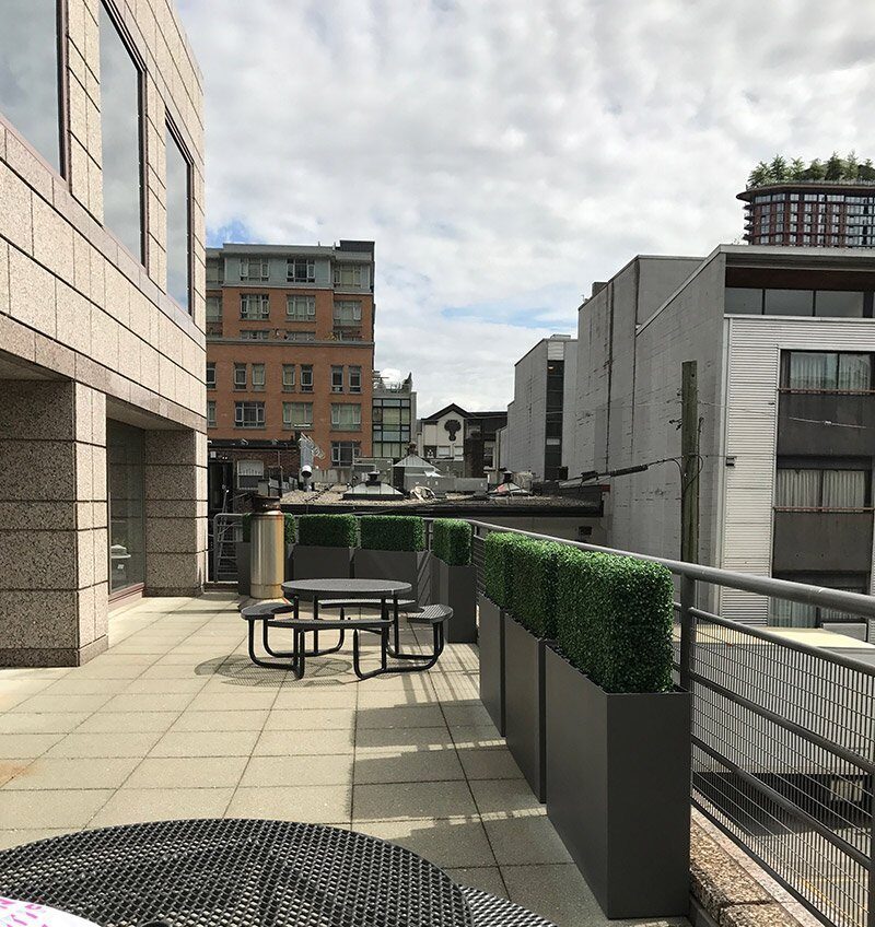 Artificial boxwood hedges in aluminum planters lining a commercial rooftop patio with outdoor seating
