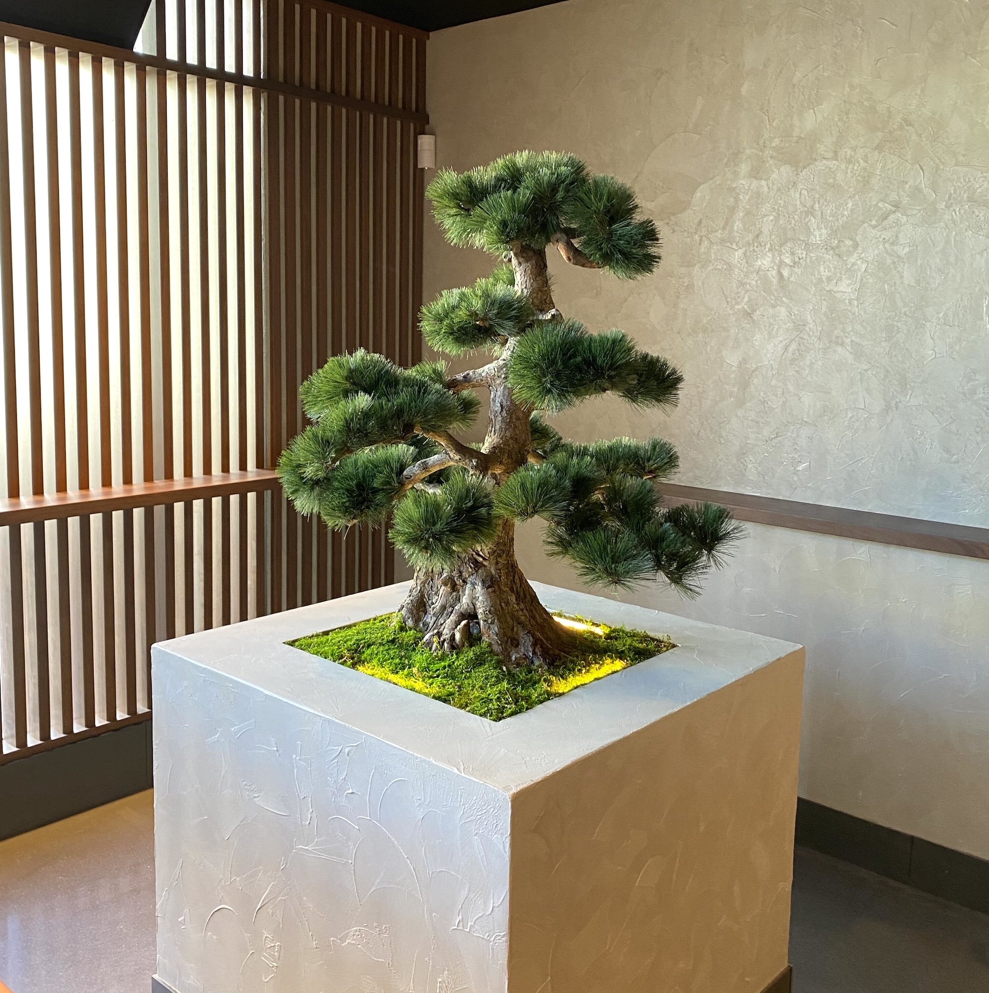 Artificial bonsai tree in moss covered planter