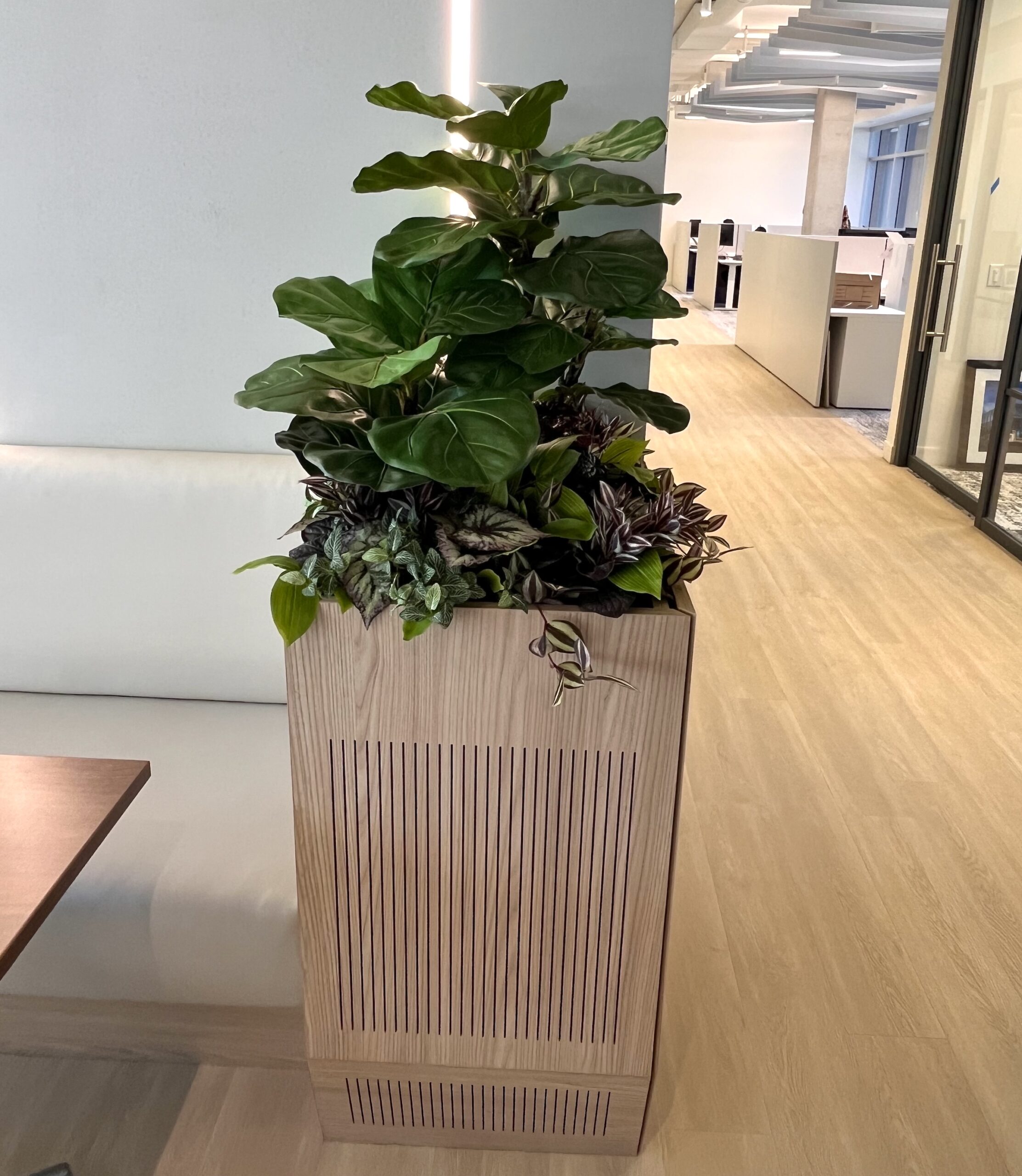 Artificial fiddle leaf fig arranged in a square office planter beside built-in seating