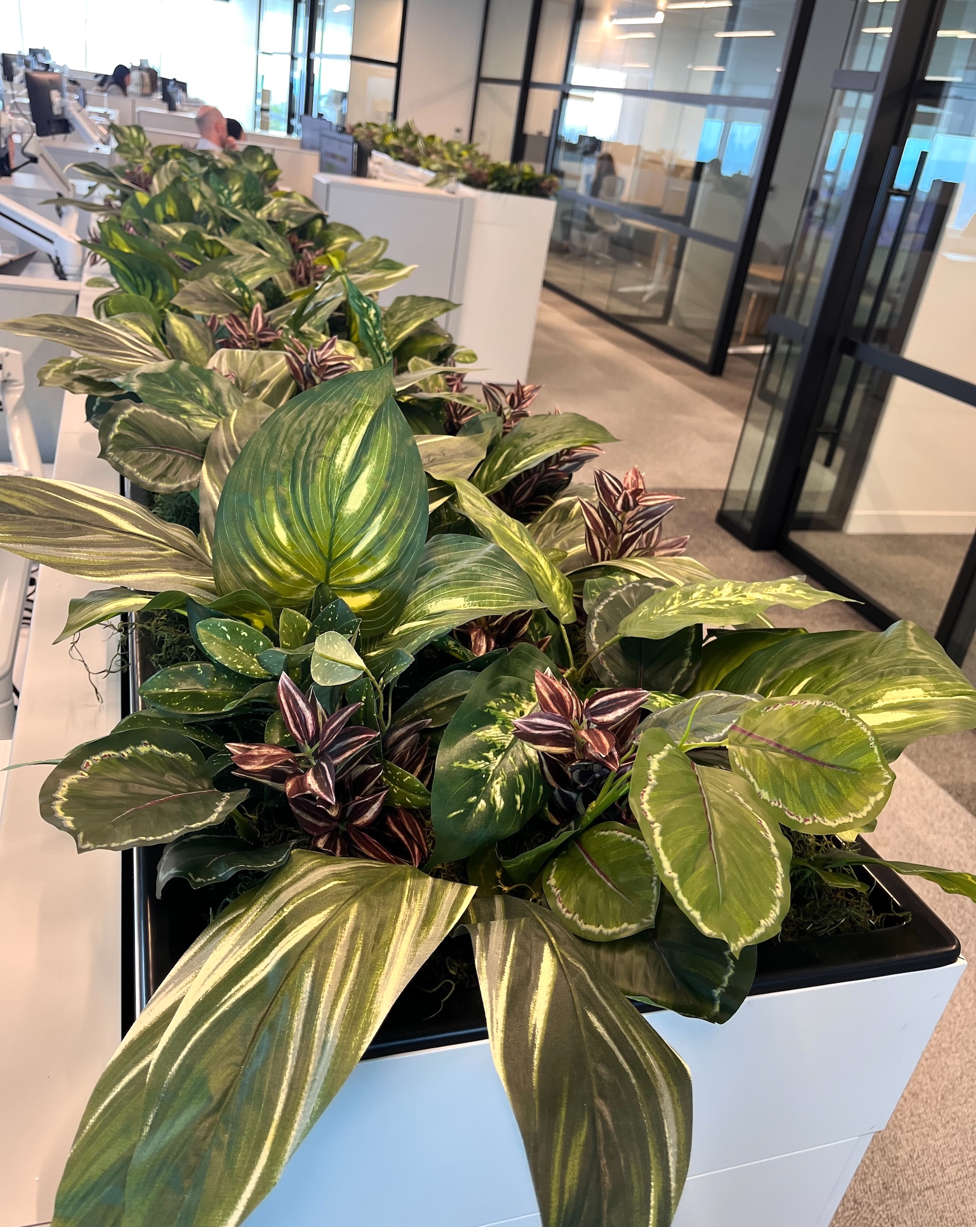 Close view of artificial potted plants in a divider planter between office desks