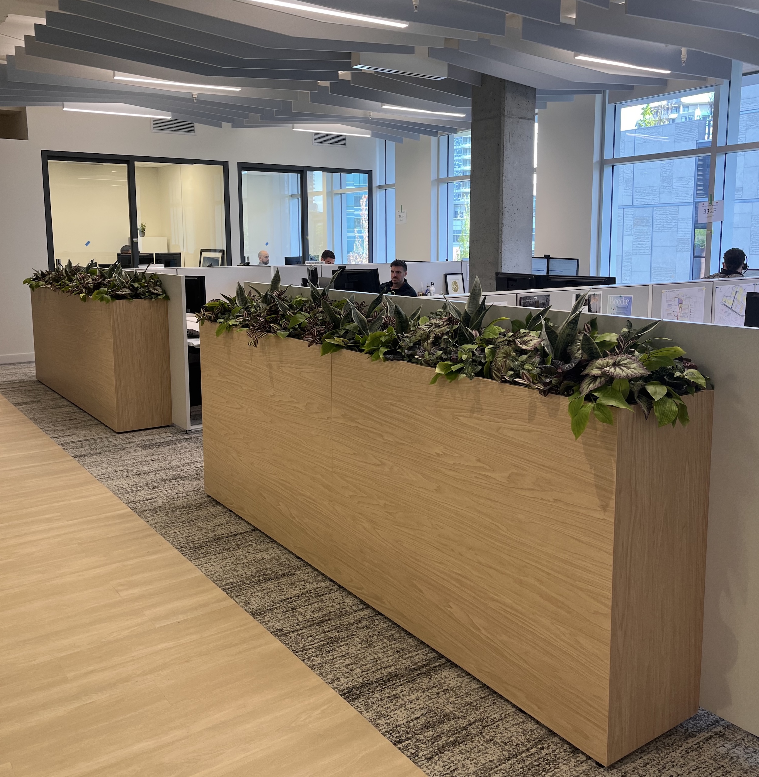 Artificial potted plants in a long planter dividing office workstations in an open layout