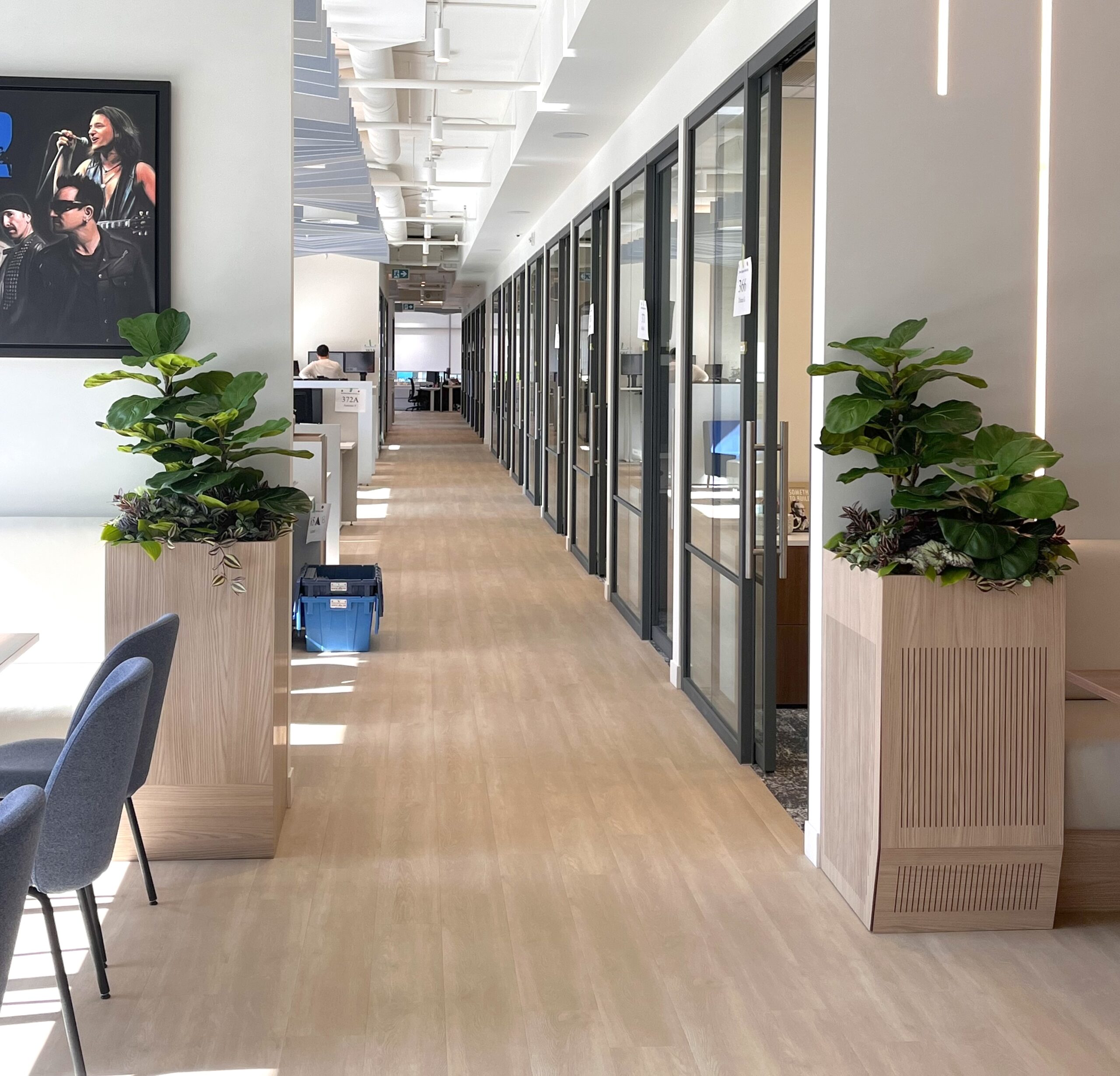 Artificial potted plants placed along an office hallway in a modern workspace