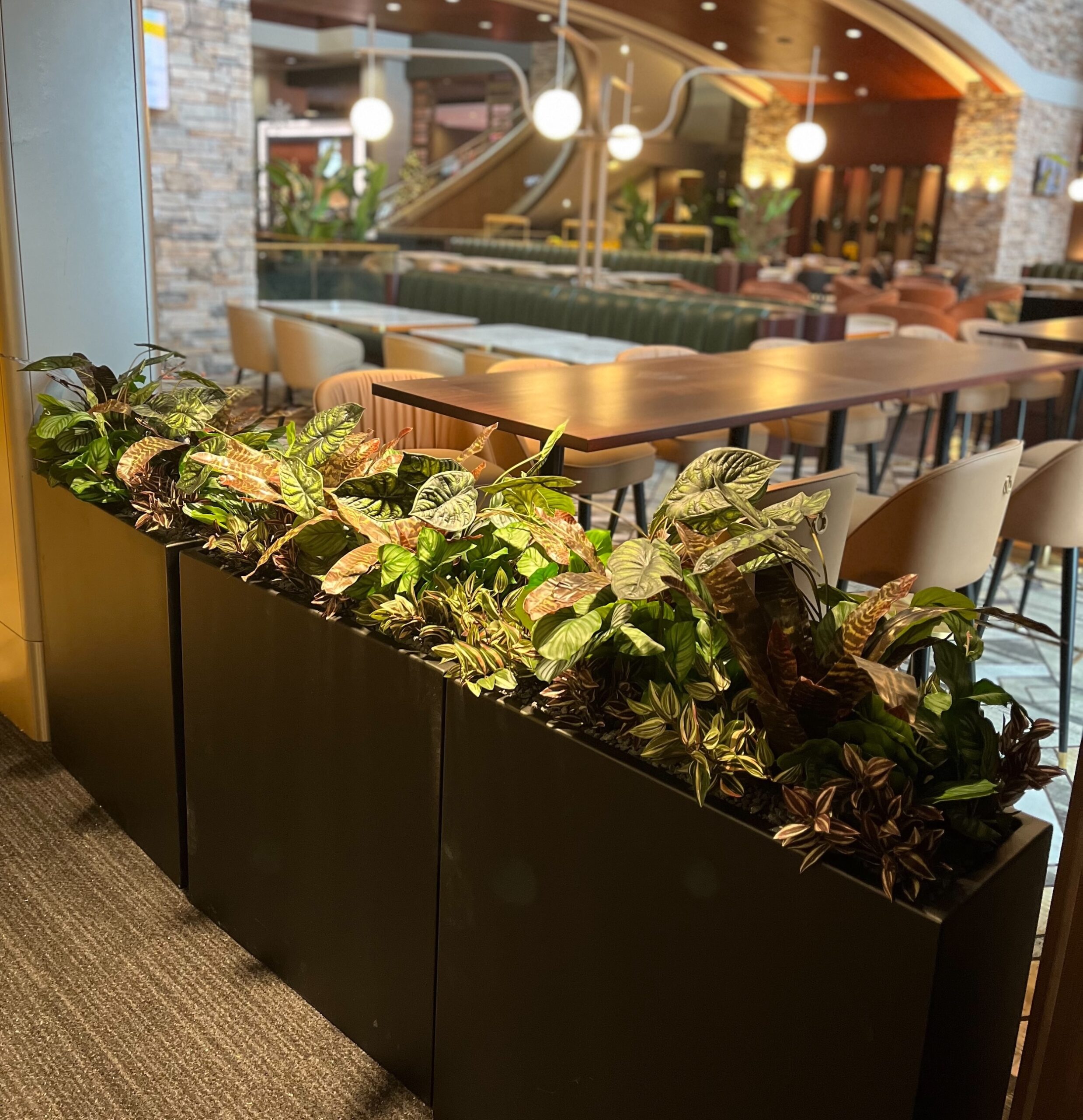 Artificial potted plants arranged in a long planter dividing restaurant seating areas