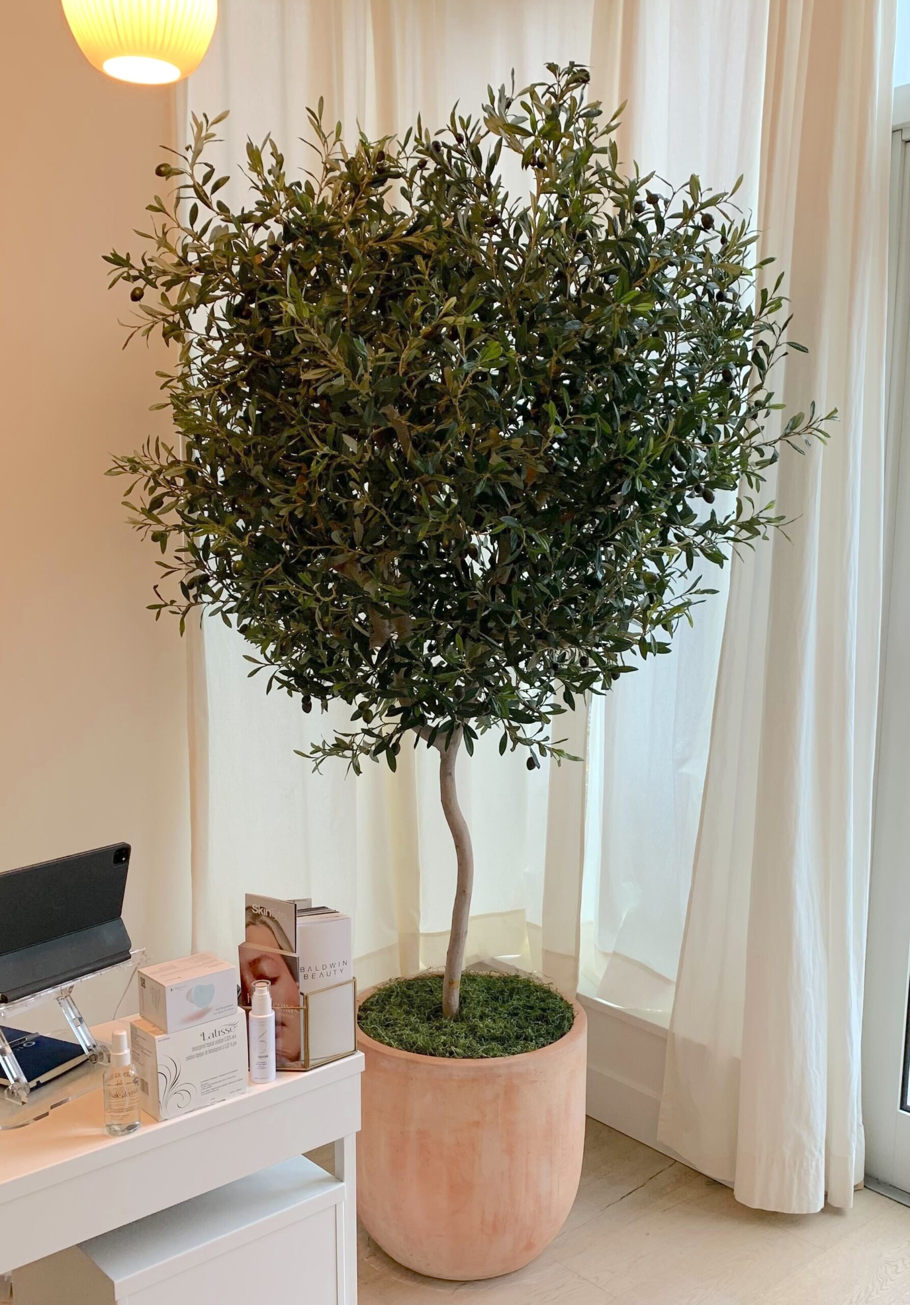 Commercial artificial olive tree in indoor planter