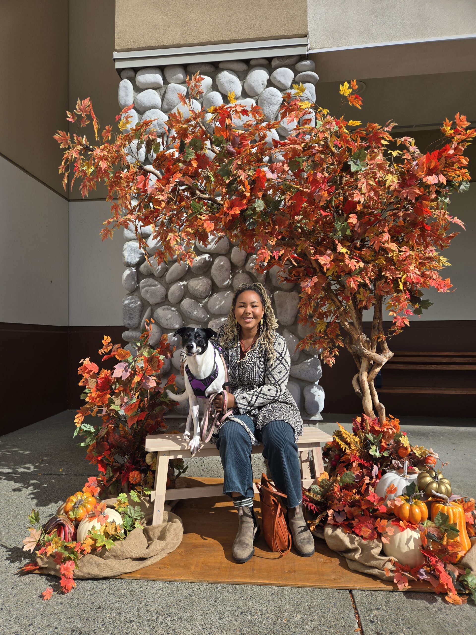 Fall harvest photo backdrop with autumn leaves and floral arrangement